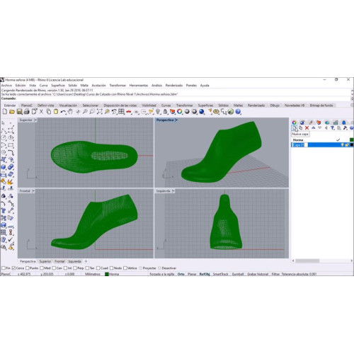 Установка Rhino