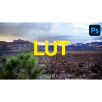 Дистанційне встановлення LUTs Capture One
